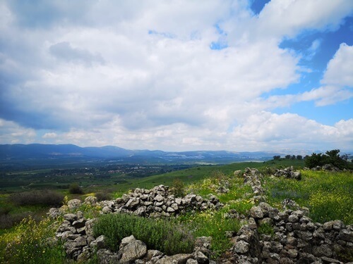 רני טריפ ג'יפ